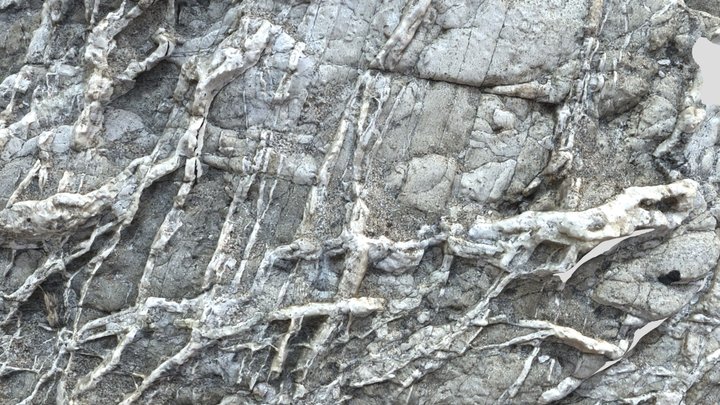 Veins in Monterey Formation, CA 3D Model
