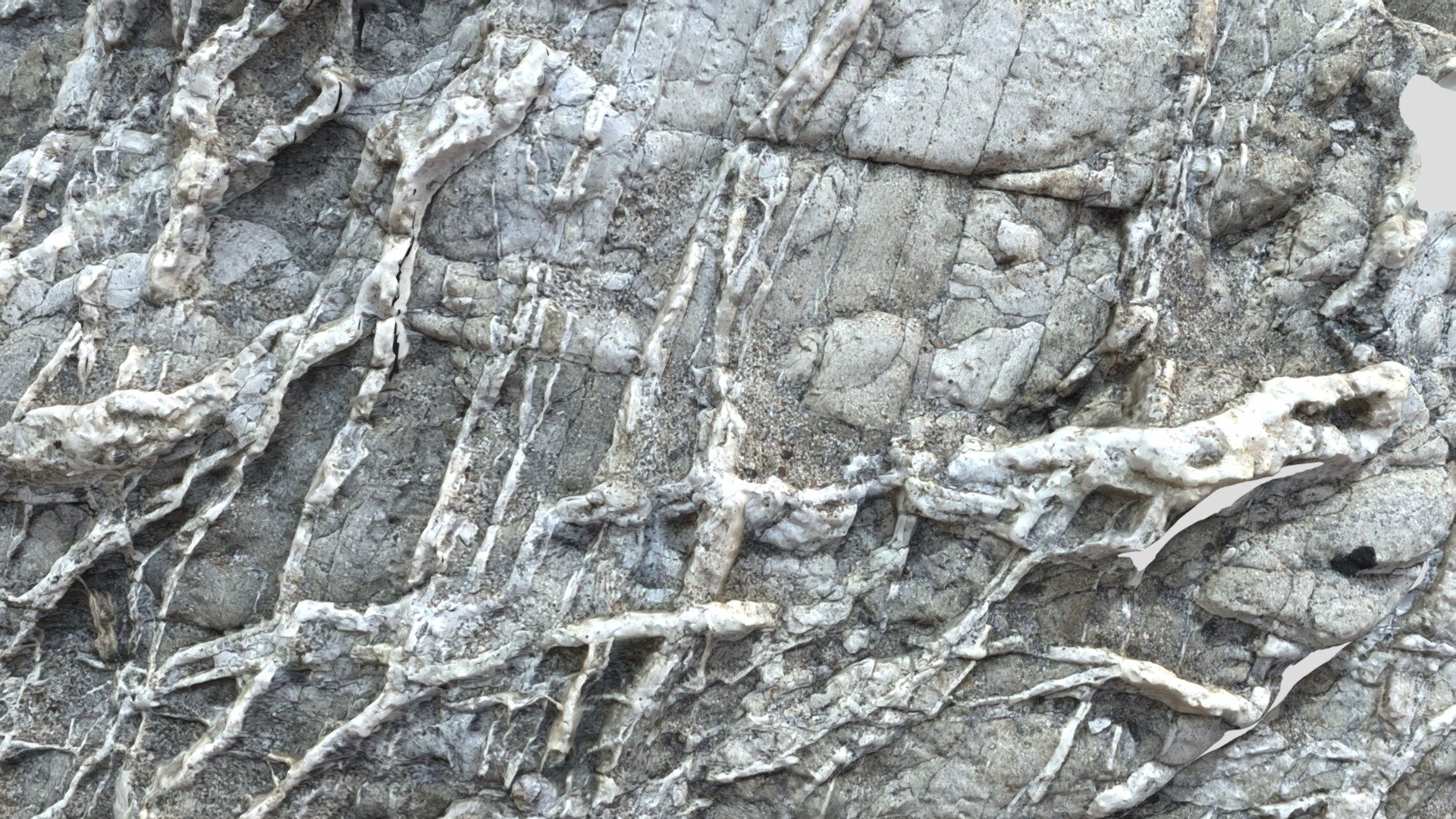 Veins in Monterey Formation, CA