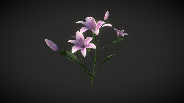 Purple lilies 3D Model