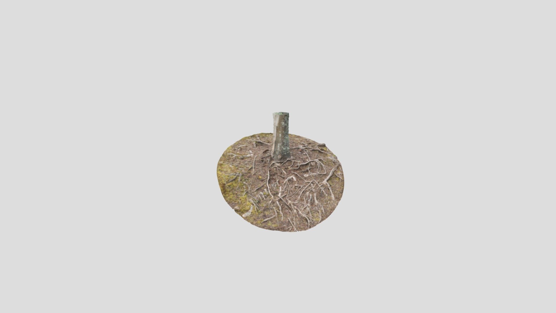 Small ground roots - Download Free 3D model by Brandon_DS [a740555 ...
