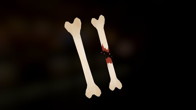 Bones 3D Model