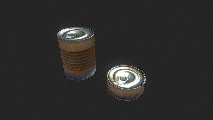 Reserve cans 3D Model