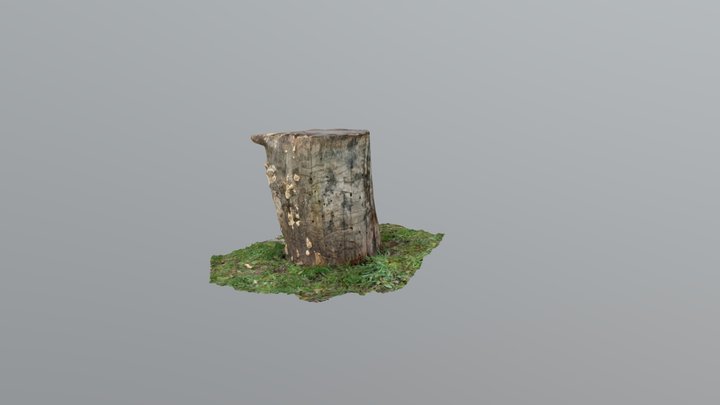 Tocon 3D models - Sketchfab