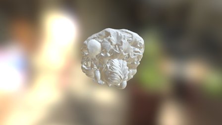 bloempje zonder achtergrond 1 3D Model