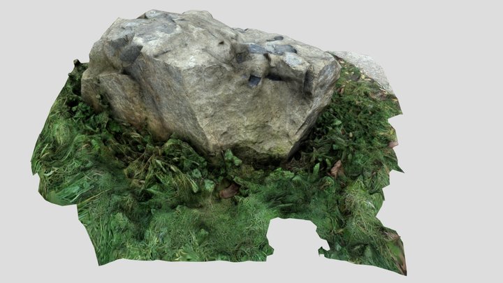 Photogrammetry Rock 3D Model