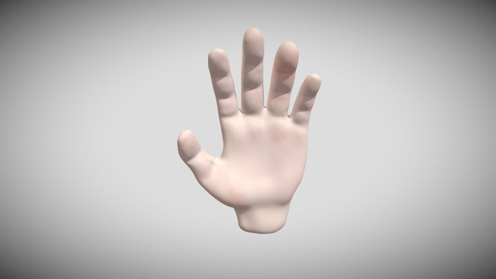 Hand 3D Model