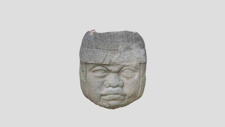 Cabeza Olmeca 3D Model