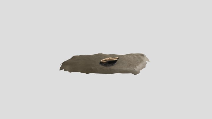 Creature 3D Model