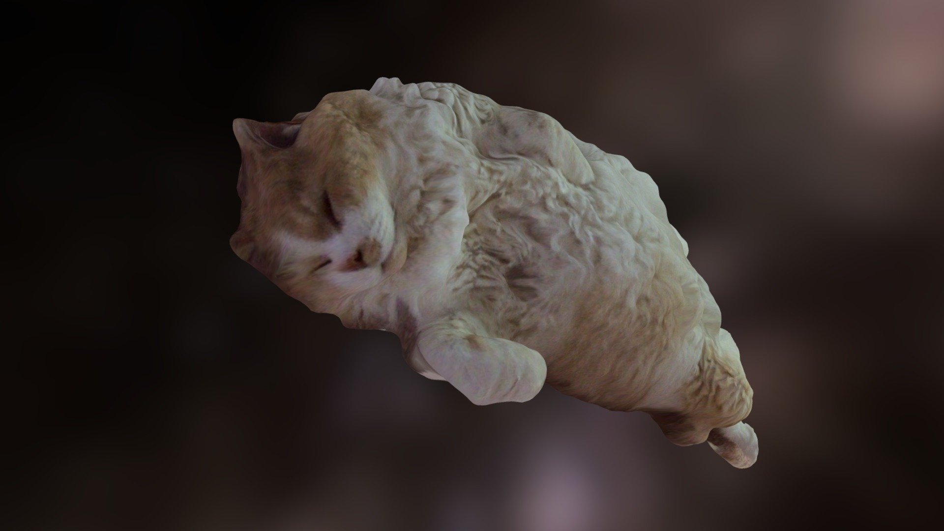 Jerry the Cat 01 - 3D model by kenjimaru [a754f51] - Sketchfab