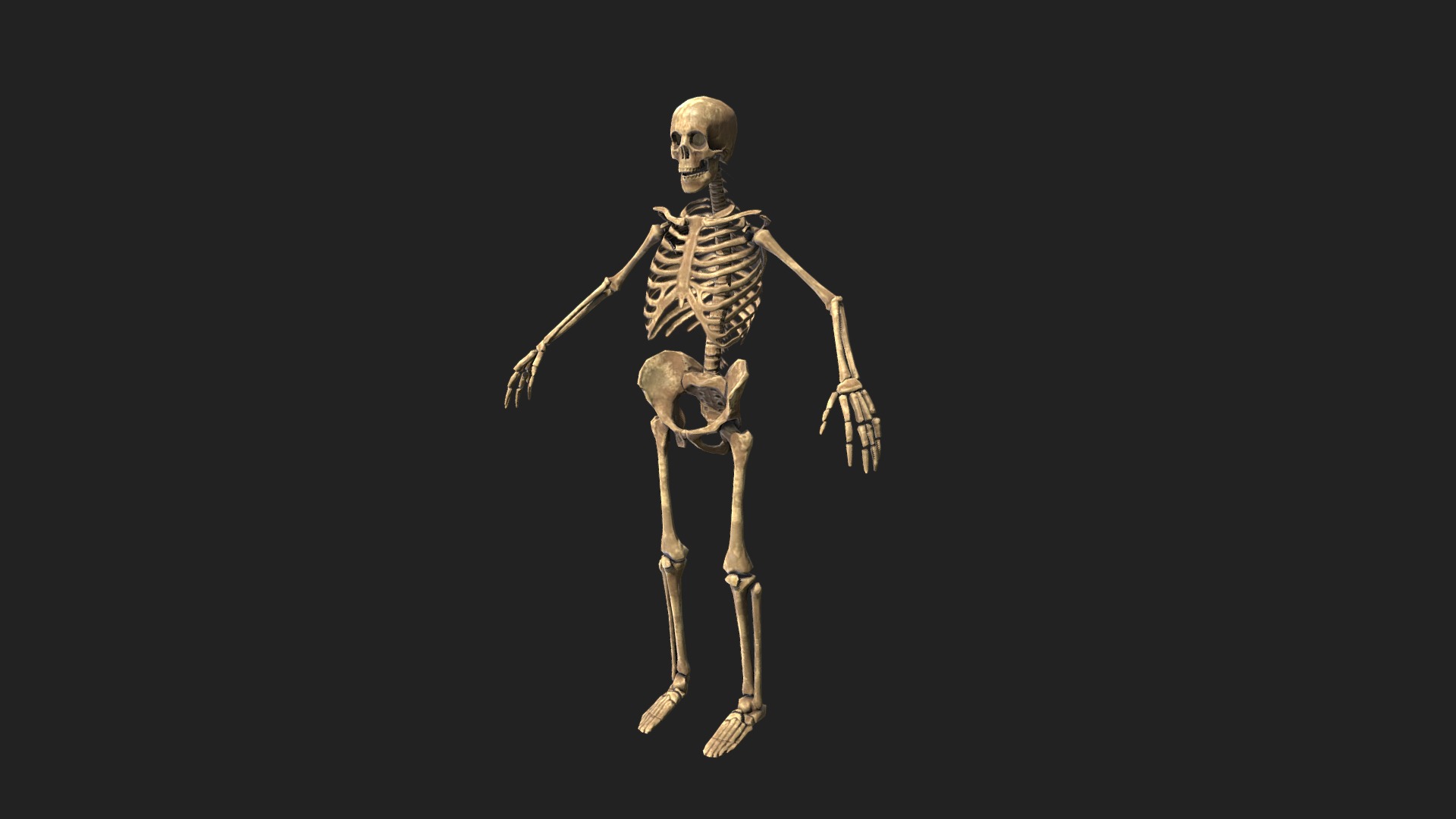 Foxhole Skeleton