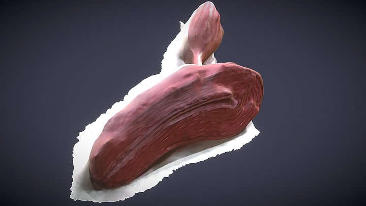 Utero Nuevo01 3D Model