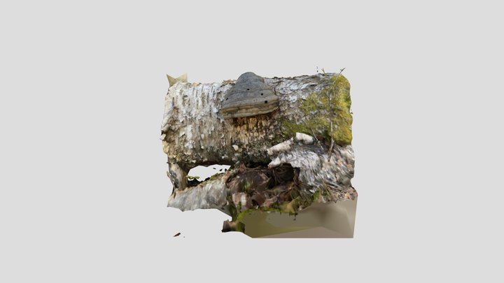 Hornet Nest 3D Model