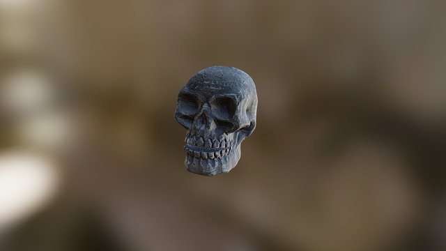 Dark Human Skull 3D Model