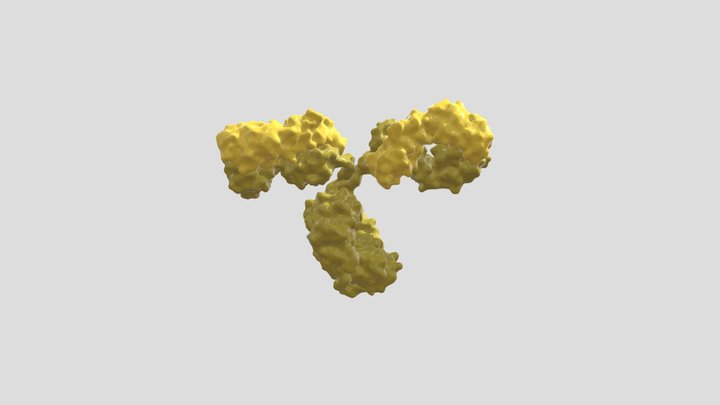 IgG_dark_yellow 3D Model