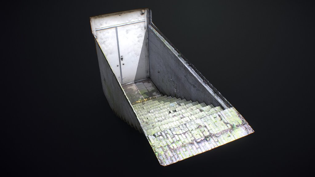 Basement Entrance