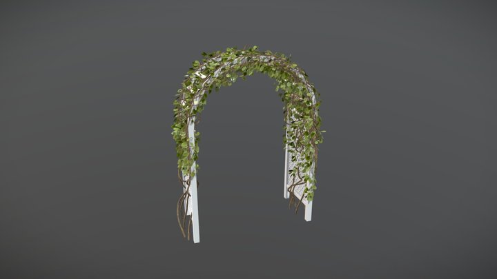 Ivy arch 3D Model