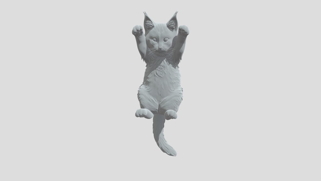 Paws Up Kitty