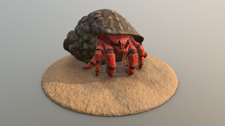 Hermit Crab 3D Model