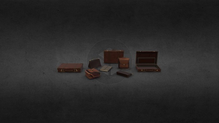 Leather Bags 3D Model
