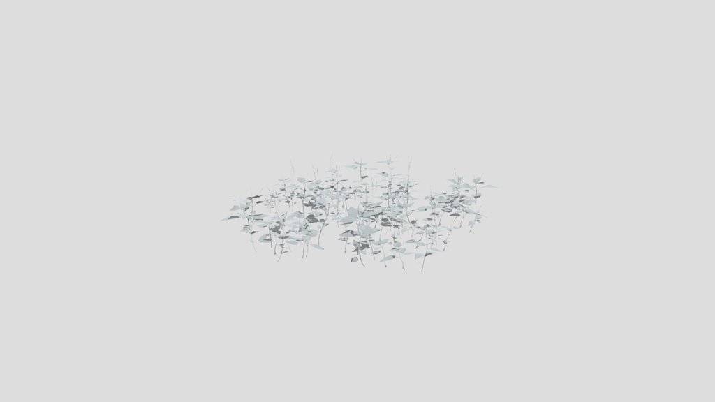 Circaea Lutetiana Weed Plant Large