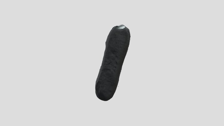 Australite Flangiata 3D Model