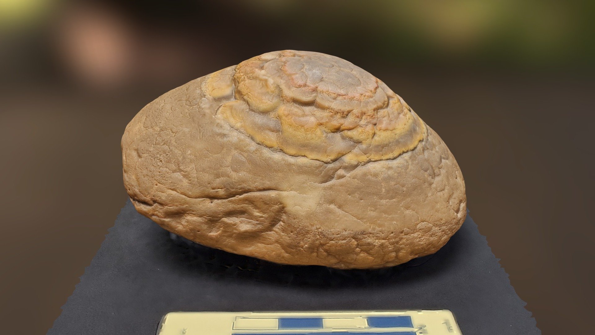 Well-Rounded Cobble