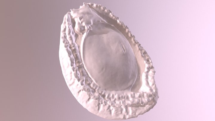 Seafood 3D Model