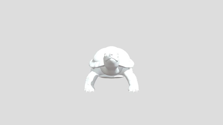 Yellow Bellied Slider 3D Model