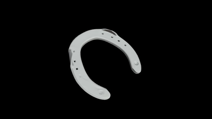 Horse Shoe 3D Model
