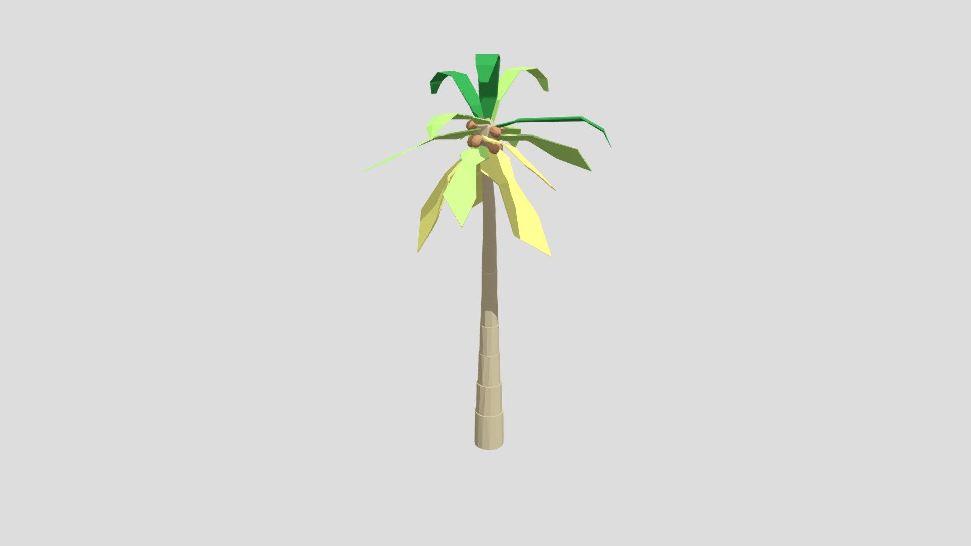 CocoPalm