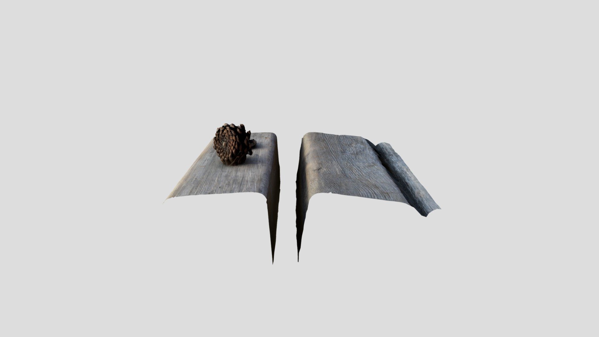 Pine cone and Pebble