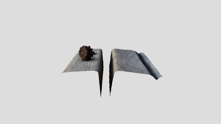 Pine cone and Pebble 3D Model