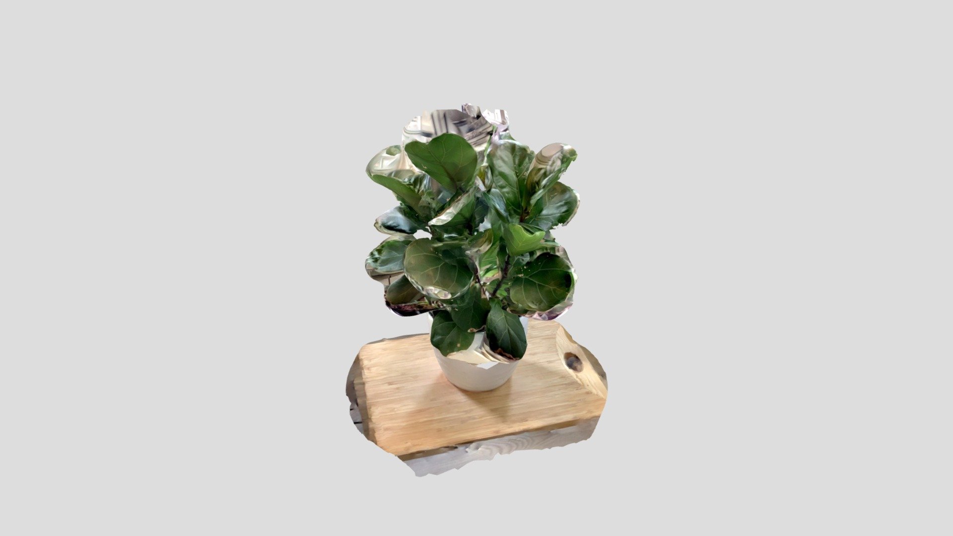 Jared_Plant_ARKIT3