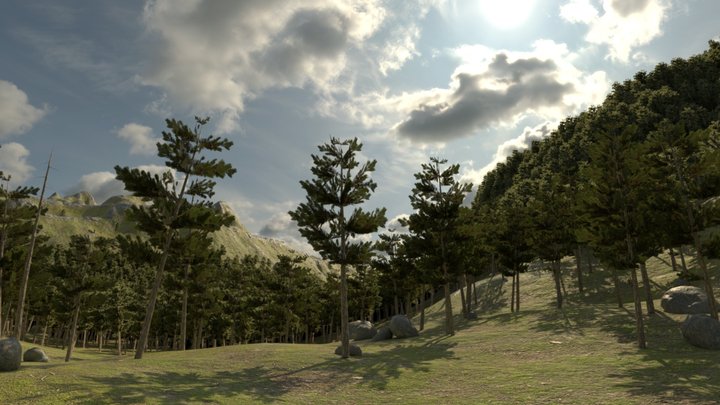 Forest Clearing 1 Ground Skybox 3D Model