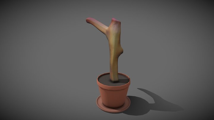 Potted_Driftwood_SingleMaterial 3D Model