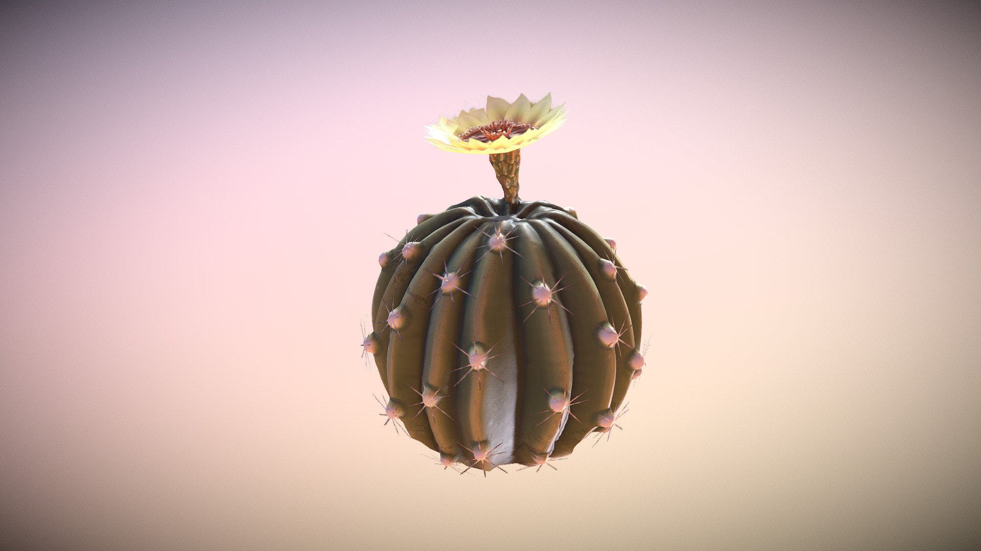 Cactus (WIP)