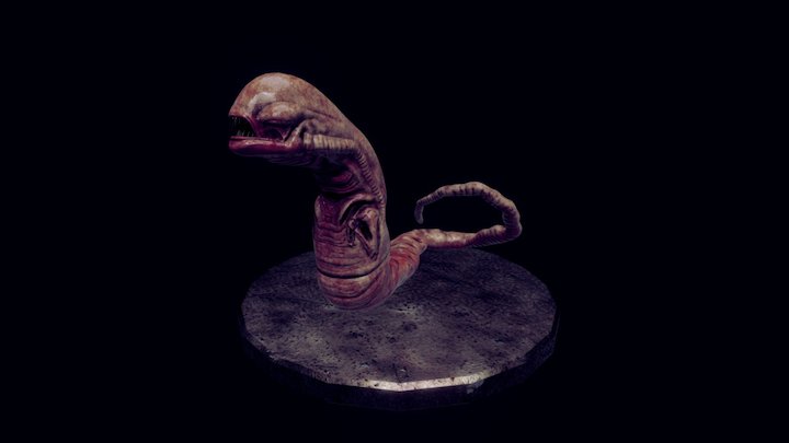 Alien : chestburster 2 3D Model