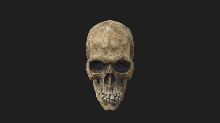 skull_sculpt 3D Model