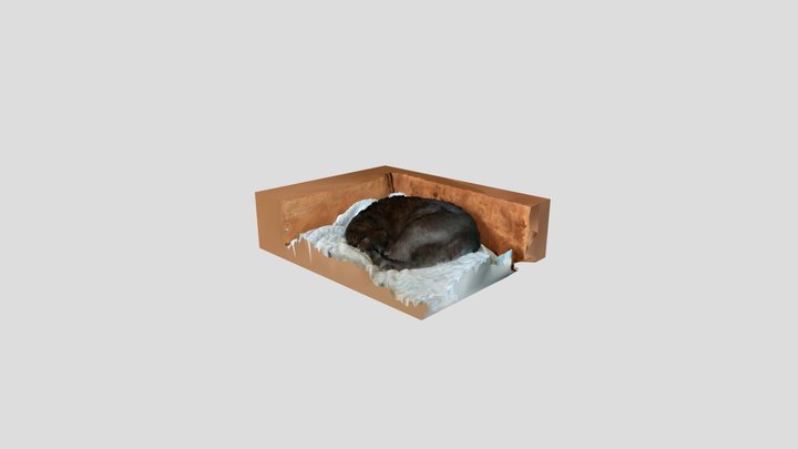 Scan 2022-04-15T12:00:42.837Z 3D Model