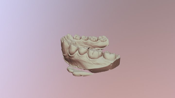 Lower Jaw 3D Model