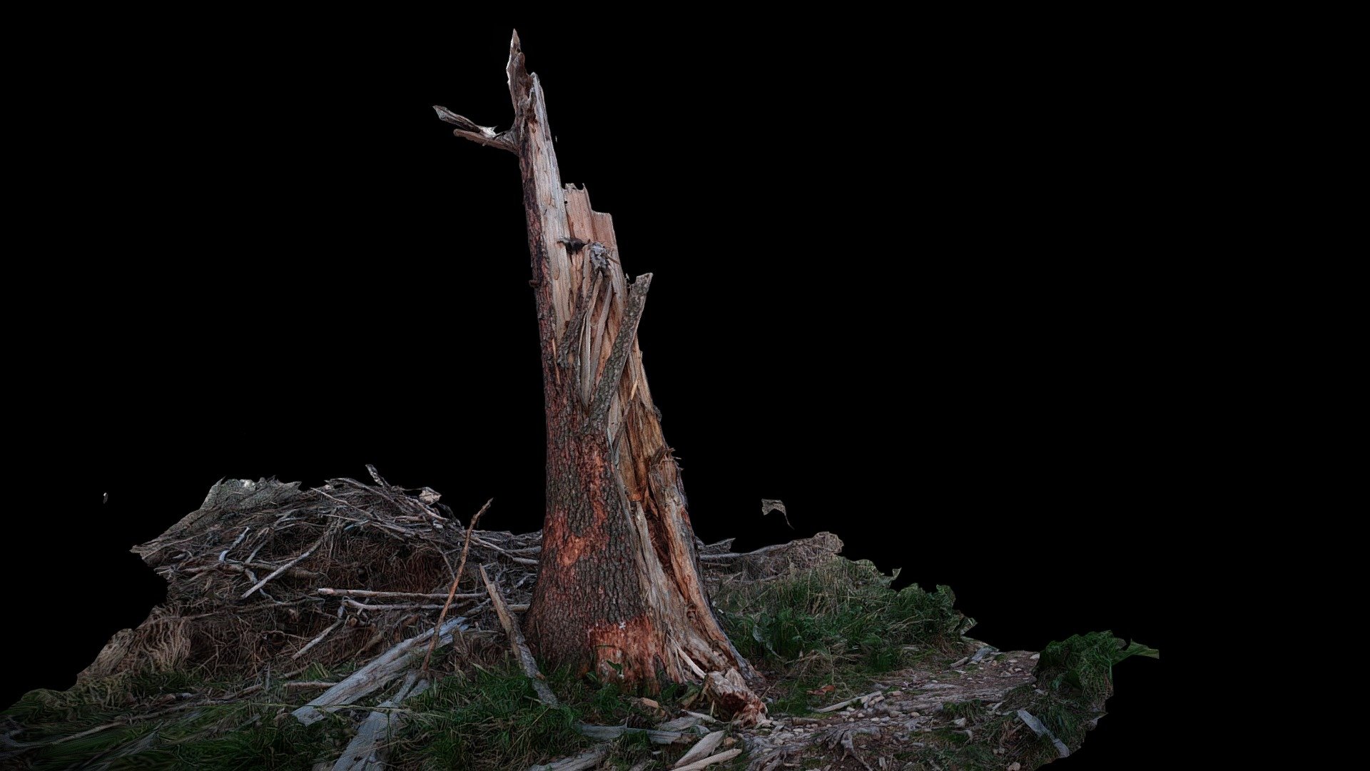 Stronie Śląskie, Nowy Gierałtów, Stump