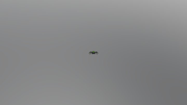 Spider_concept 3D Model