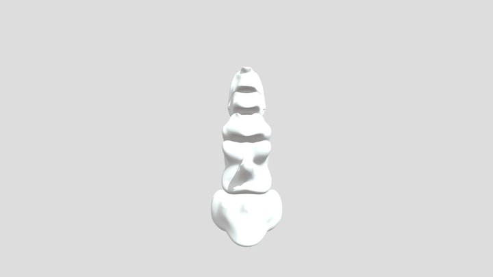 뼈로 이루어진 장식물 3D Model