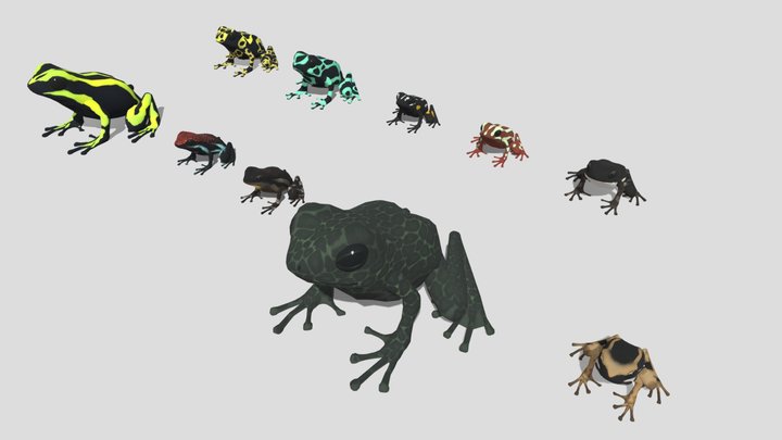 10 kinds of Poison dart frog [1]