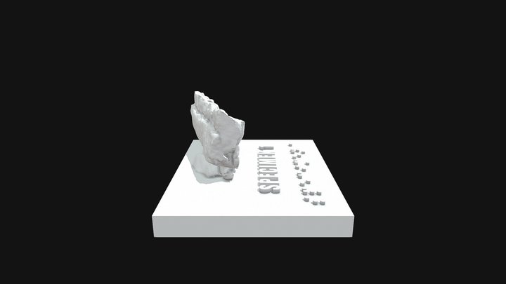 Specimen 1 - Paleontologists for a Day 3D Model