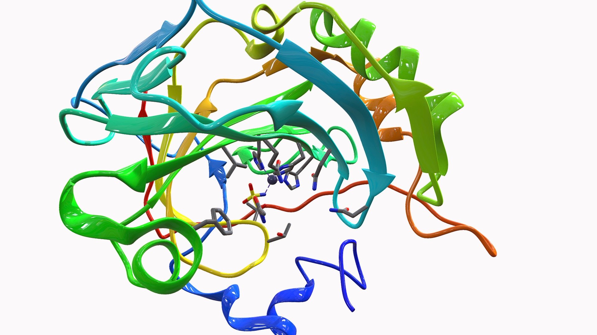 carbonic-anhydrase-ii-download-free-3d-model-by-medchemprof-a7a0fcd