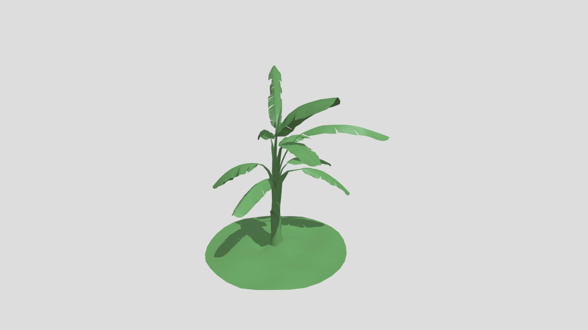 Banana Tree