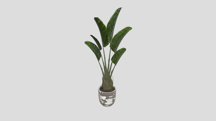 Plant – Modelo 3D gratuito STL