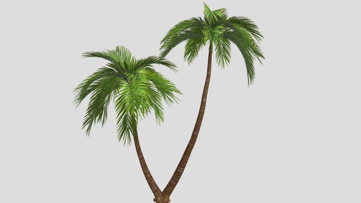 2 Palm Low Poly 3D Model
