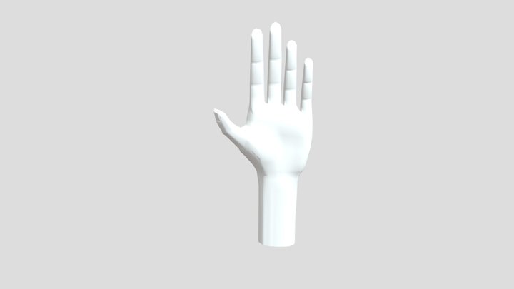 Hand model 3D Model